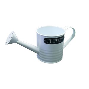 Ποτιστηράκι μεταλλικό 10,5 x 10cm [10701315]