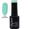 Ημιμόνιμο μανό one step 5ml - Light Green [40504002-062]